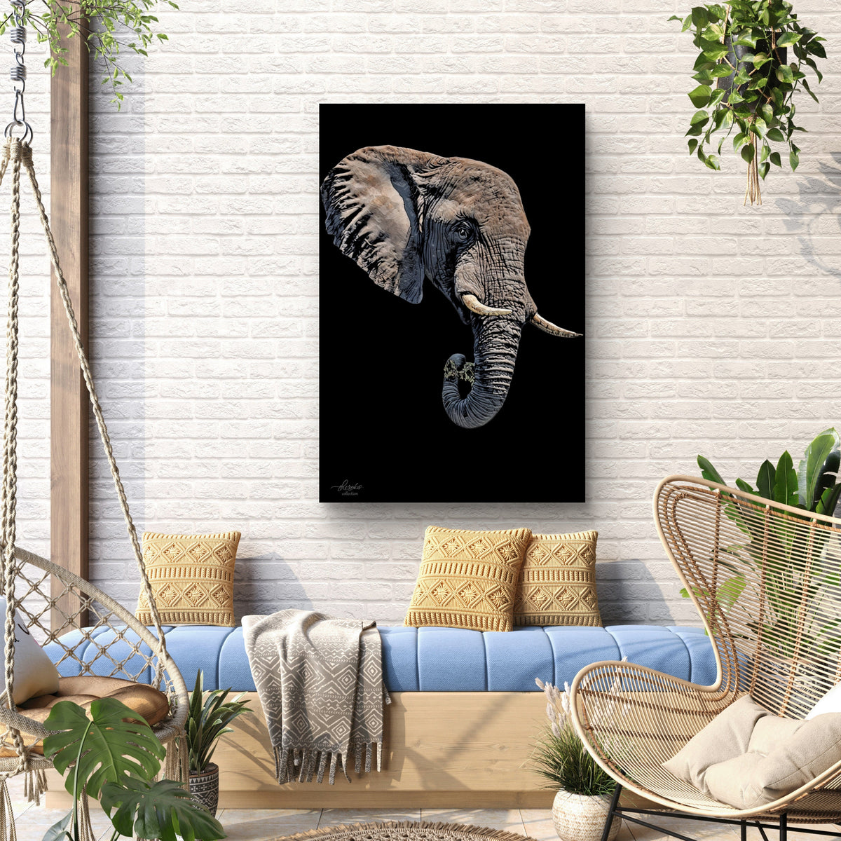Elephant Satin Stretched Black Canvas Print - HD Printing