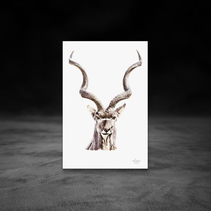 Kudu Fine Art Giclée Matte Poster - HD Printing