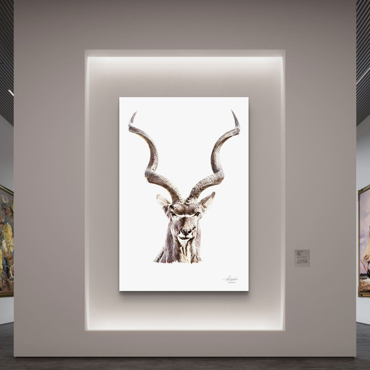 Kudu Fine Art Giclée Matte Poster - HD Printing